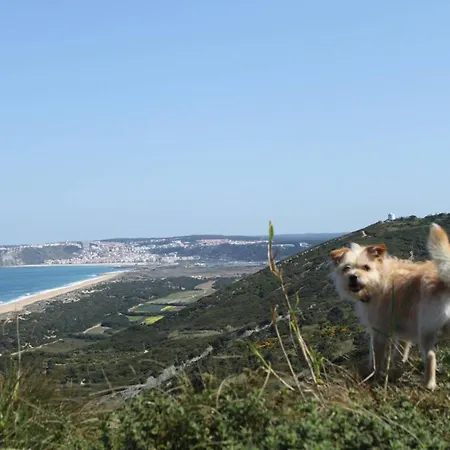 Charming House In With Fireplace Nazaré