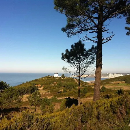 Charming House In With Fireplace Nazaré
